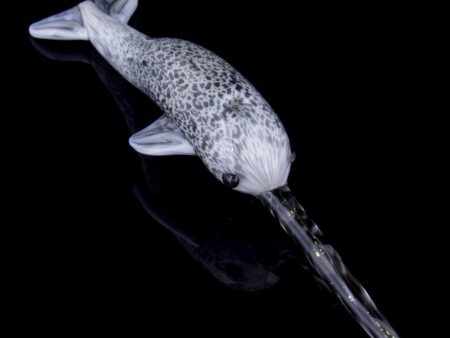 Empire Glassworks  Ned the Narwhal  Dabber Online