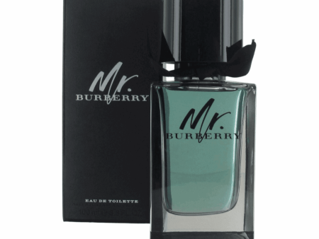 Mr. Burberry for men Eau De Toilette 100 ml Cheap