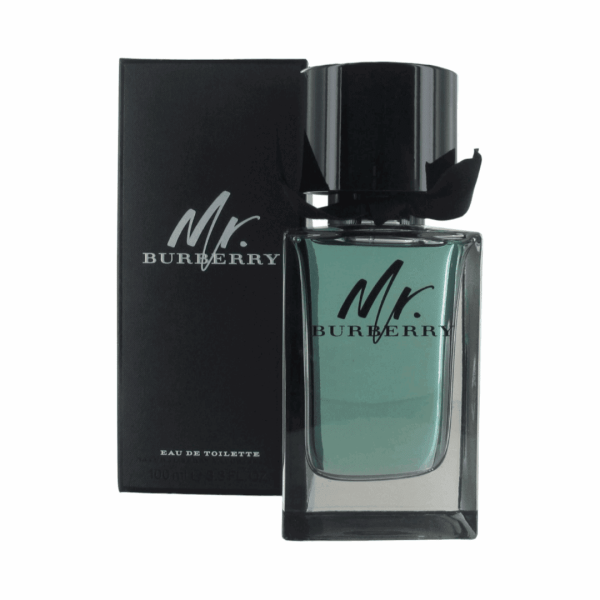 Mr. Burberry for men Eau De Toilette 100 ml Cheap